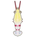 Banded Coral Shrimp