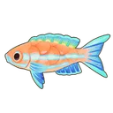 Blue Neon Cichlid