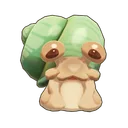 Blushing Snail