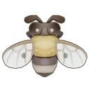 Cape Honey Bee