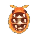 Clown Isopod