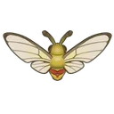 Coffee Clearwing Moth