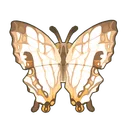 Common Mapwing