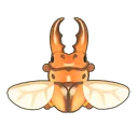 Common Red Stag Beetle
