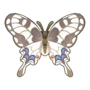 Common Yellow Swallowtail