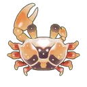 Fiddler Crab