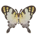 Five-Bar Swordtail