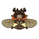 Gold-Spotted Flower Chafer
