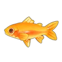 Golden Rainbow Trout