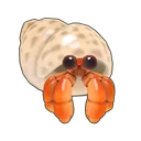 Hermit Crab