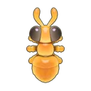 Honeypot Ant