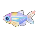 Hummingbird Tetra