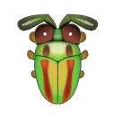 Jewel Beetle