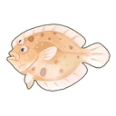 Largetooth Flounder