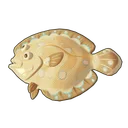 Leopard Flounder