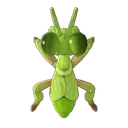 Mantis