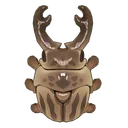 Milu Stag Beetle