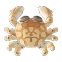 Moon Crab