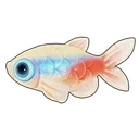 Neon Tetra