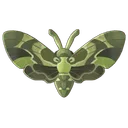Oleander Hawk Moth