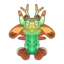 Peacock Mantis Shrimp