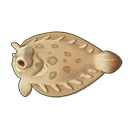 Peacock Sole