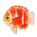 Peppermint Angelfish