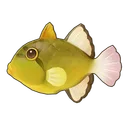Pinktail Triggerfish