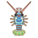 Pronghorn Spiny Lobster