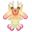 Rainbow Mantis Shrimp