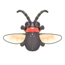 Red-Necked Longhorn Beetle