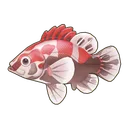 Red-Striped Perch