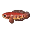 Redmoon Snakehead