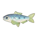 Sardine