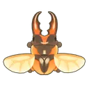Savagei Stag Beetle