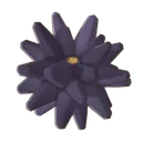 Sea Urchin