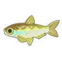 Sharpbelly