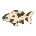 Shiro Utsuri Koi