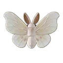 Silk Moth