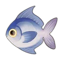 Silver Pomfret