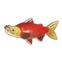 Sockeye Salmon