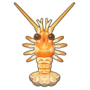 Spear Lobster