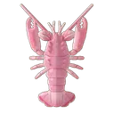 Spiny Blind Lobster