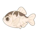 Spiny Hatchetfish
