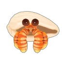 Striped Hermit Crab