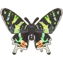 Sunset Moth