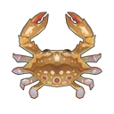 Three-Spot Swimming Crab