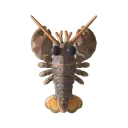 True Lobster