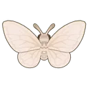 Veil Hook Moth